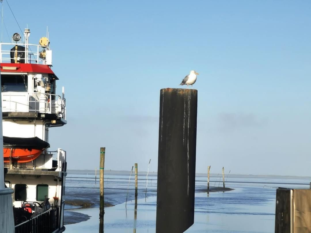 Schicke Ferienwohnung Julia An Der Nordsee Lutetsburg Dış mekan fotoğraf